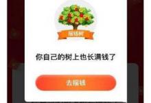 我来教你拼多多app摇钱树怎么参与（拼多多摇钱树技巧）