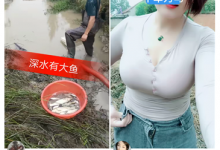 分享快手怎么删除自己的评论