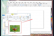 小编分享如何用cdr将照片处理成油画蜡笔效果