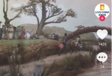 小编教你抖音测脸型五官的特效怎么玩