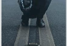 小编分享柴扉APP如何使用