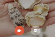 教你如何在美拍大师中添加本地音乐