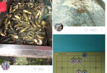 分享快手中怎么屏蔽不喜欢的视频
