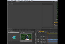 教你Premiere怎么将视频色彩调成黑白色