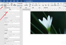 我来教你Word如何制作双重曝光特效