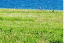 教你Foodie怎么分享照片（foodie无法保存照片）