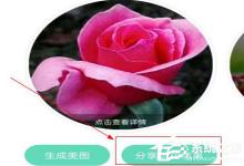 分享形色识花怎么分享到微信