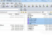 Beyond Compare里怎么导出孤立的文件呢？