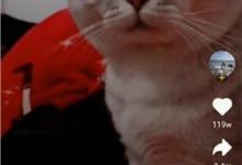 教你刷宝短视频怎么邀请好友