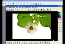 小编教你ACDSee中如何利用魔术棒抠图