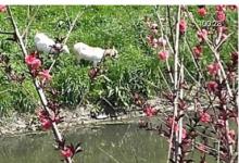 分享耳觅app如何清除聊天记录