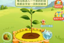 我来教你拼多多中果园怎么除草