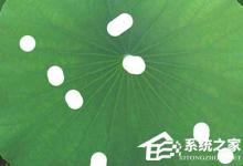 小编教你PS水滴效果怎么做（ps水滴效果怎么做 视频）