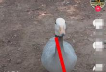 我来分享如何创建抖音群聊