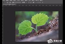 分享PS如何为图片制作黑白影印效果