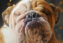 小编教你开眼app怎么保存视频（开眼app的视频能保存下来吗）