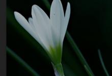 小编分享PS如何修复图片曝光度（ps如何高清修复图片）