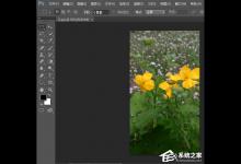 ps想要打印多张照片应该怎么办呢？