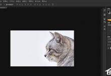 我来教你Photoshop中怎么利用黑白命令抠图