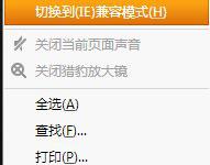 我来教你猎豹浏览器如何切换内核