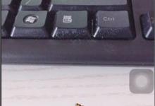 我来分享如何在一甜相机中上传音乐