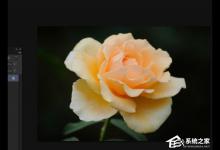 教你Photoshop中怎么使用抓手工具