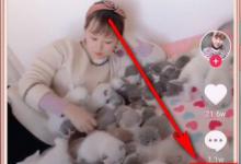 我来教你抖音转发视频如何去除抖音号