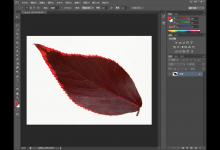 小编教你PS如何给图片描边（ps如何给图片描边快捷键）