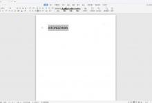 小编分享wps里英文字母大小写怎么转换