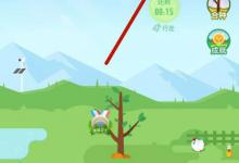 小编教你支付宝蚂蚁森林怎么隐藏能量球数值