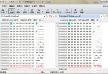 Beyond Compare如何设置十六进制比较的对齐方式