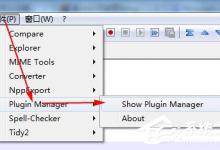 教你Notepad  怎么复制带格式代码