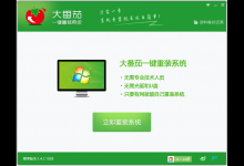 小编教你大番茄一键重装系统怎么用