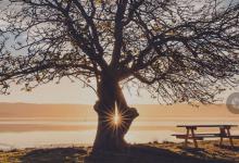 我来分享印象APP怎样删除水印（印象app的水印怎么修改）