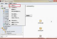 Beyond Compare怎么调出合并功能呢？