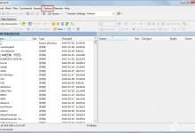 小编分享WinSCP怎么更改语言