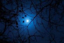 分享2020最流行微信头像：成熟稳重的男生头像大全！