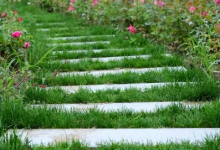 2023年清明节放一天假合法吗