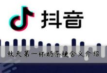 分享刷爆网络和朋友圈！抖音秋天的第一杯奶茶是什么梗