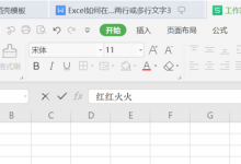 小编教你WPS在Excel的一个单元格内输入两行或多行文字操作方法