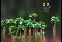 2023立春迎春可以在娘家吗