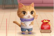 分享2020天猫双十一超级星秀猫怎么退队