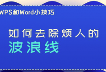 分享WPS/Word如何去除烦人的波浪线
