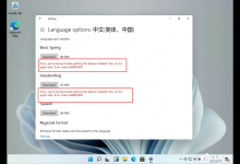 教你Windows11添加语言包失败错误代码0x800F0950怎么办