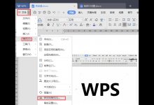 小编教你wps清除格式在哪里（wps删除的文件可以在哪里找回）