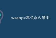 小编教你wsappx怎么永久关闭/禁用