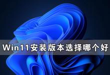 小编教你Win11安装版本选择哪个好（Win11安装哪个版本的CAD较好）