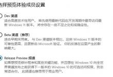 Win11 Dev和Beta渠道哪个好