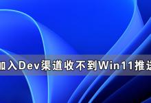 小编教你加入Dev渠道收不到Win11推送怎么办