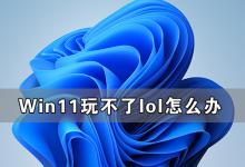 我来分享Win11玩不了lol怎么办（Win11玩不了地平线4怎么办）